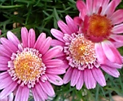 DVC00005.JPG