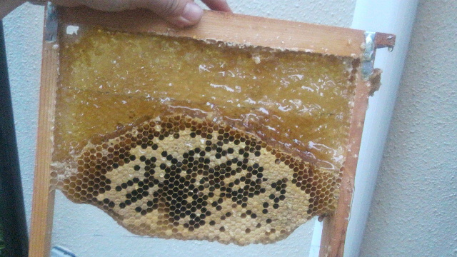 2013062623390001.jpg