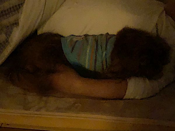 rblog-20180411043159-02.jpg