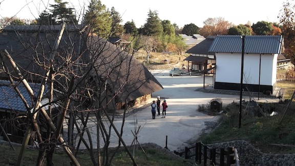 昭和記念公園064