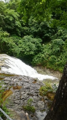 rblog-20180814045530-05.jpg
