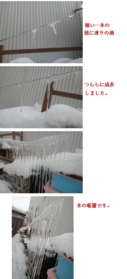 氷の芸術品