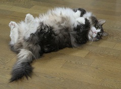 5DA_5776-20.jpg