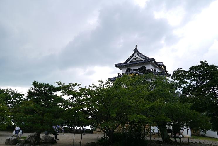 P1000727.JPG