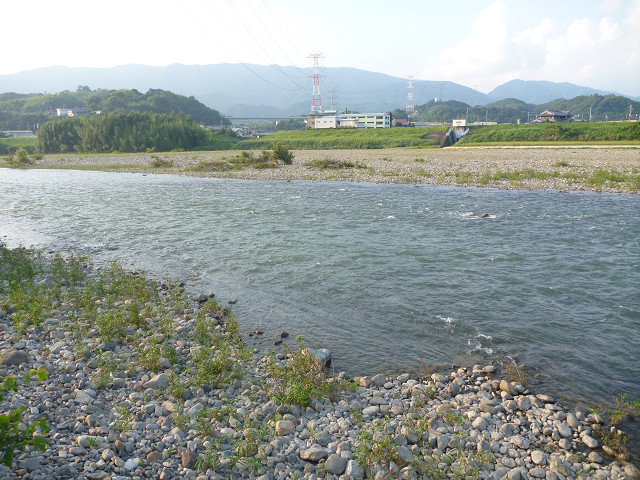 resize0022.jpg