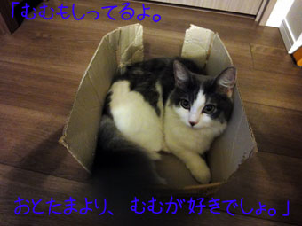 mumu28.jpg