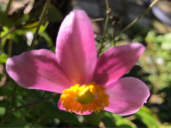 rblog-20181029111210-07.jpg