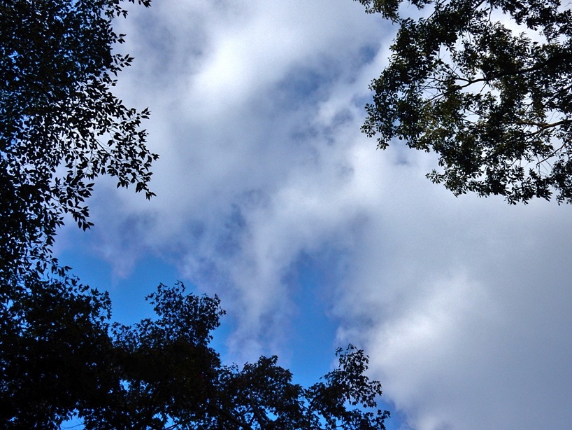 空2.JPG