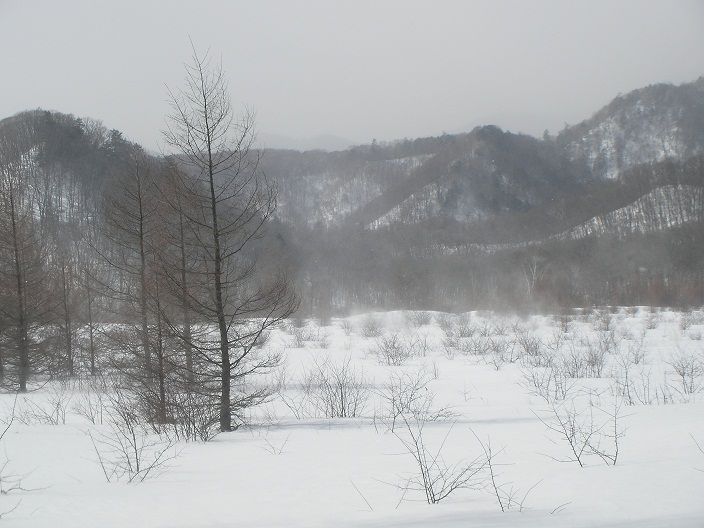2013-02-23 20130223 020b.jpg