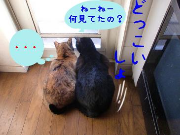 何見て.JPG