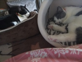DSCF9306.jpg