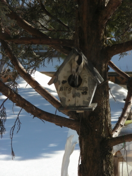 2017-03-11sijyu2 (1).JPG