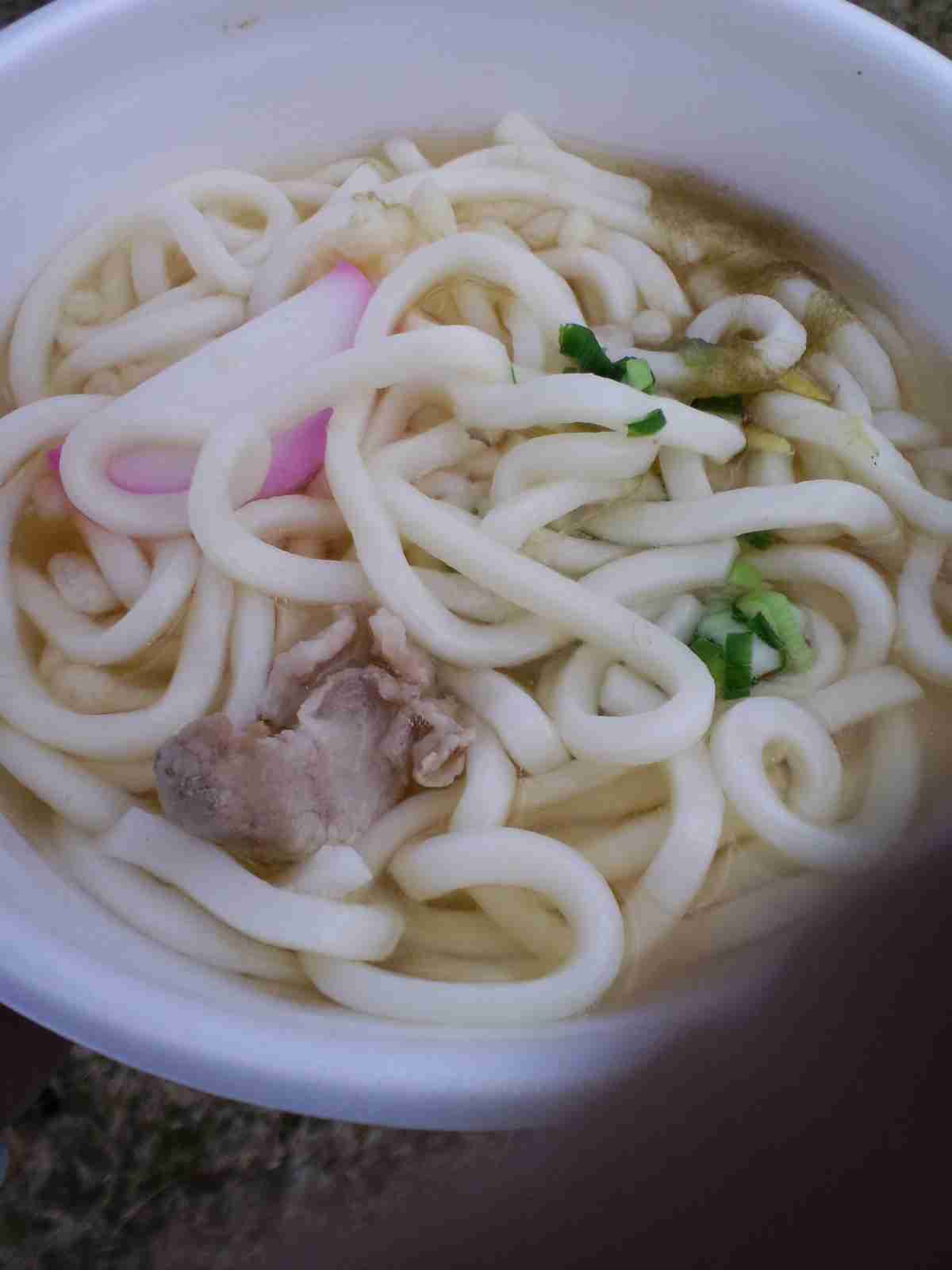 長谷展望公園うどん.JPG