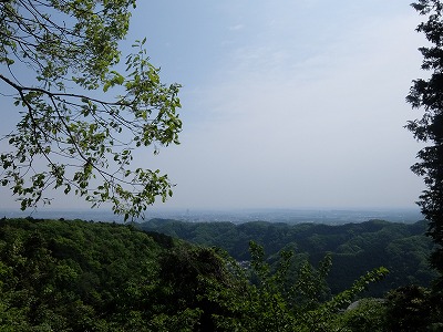 高尾山からの眺め.jpg