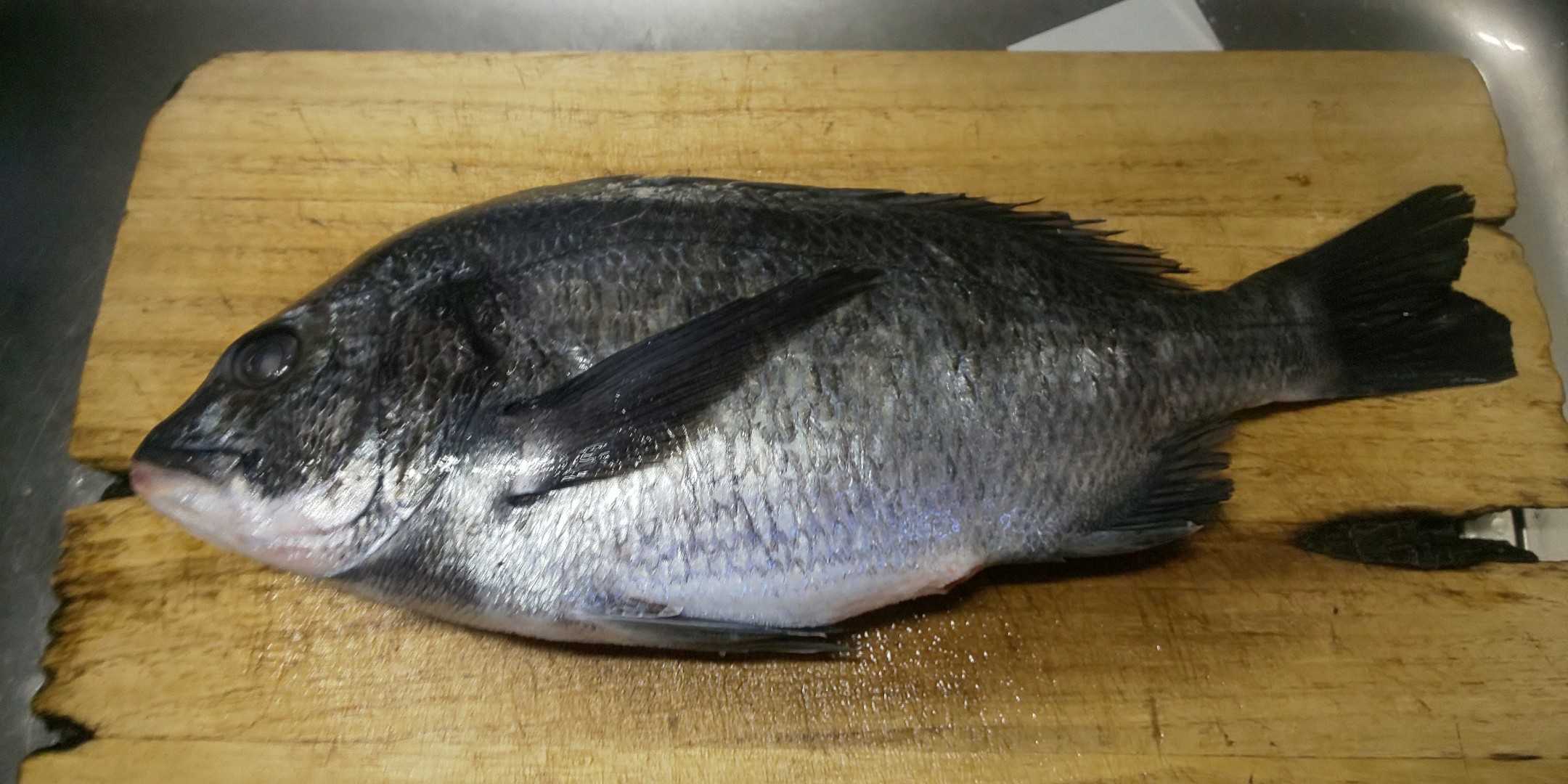 金曜日の夕食 クロダイ ハマチの刺身 いかゲソの天婦羅 あきくんのお楽しみ 楽天ブログ