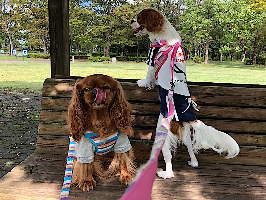rblog-20181012224659-03.jpg