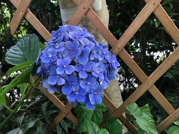 rblog-20180628172147-05.jpg