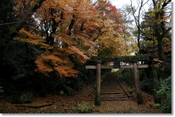 卯辰三社-1 一の鳥居-1 14.11.26