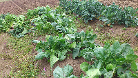 rblog-20130403162333-02.png