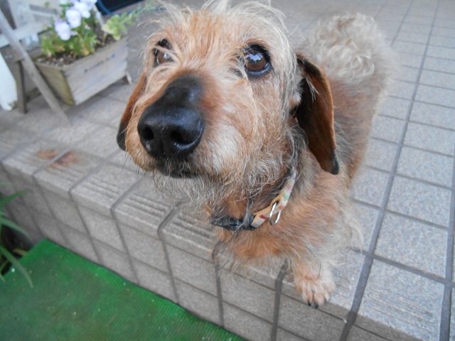 DSCN0400.JPG