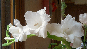 rblog-20130810091338-04.png