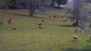 s-320_P1130574.jpg
