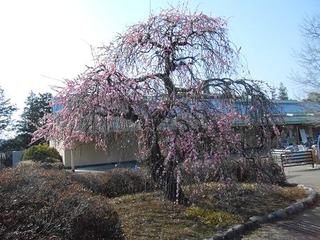 DSCN6770.jpg