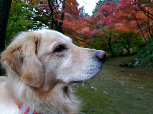 rblog-20161114214049-04.jpg