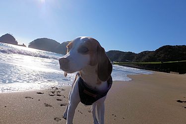 20160104満足