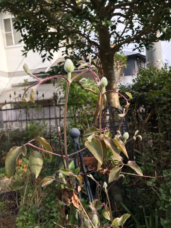 rblog-20190401163907-06.jpg