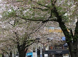 IMG_8417-10.jpg