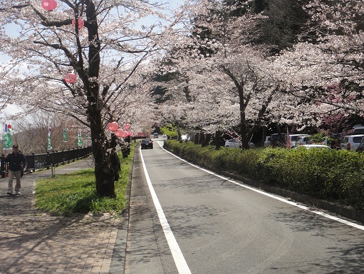 120401（家山桜トンネル）.jpg