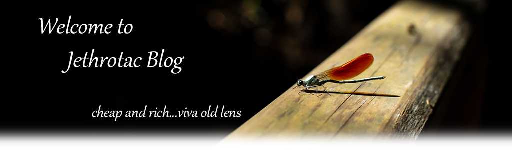 確定申告を終えて riiのモノクロで遊ぶ With My Cobby 楽天ブログ