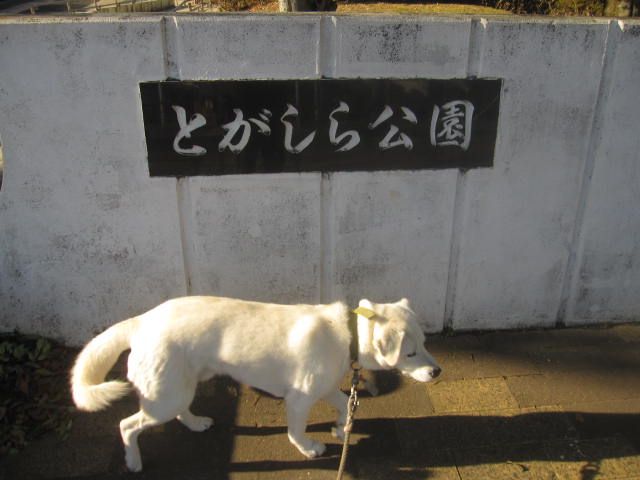 戸頭公園 ペット