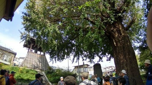 rblog-20181027225527-03.jpg