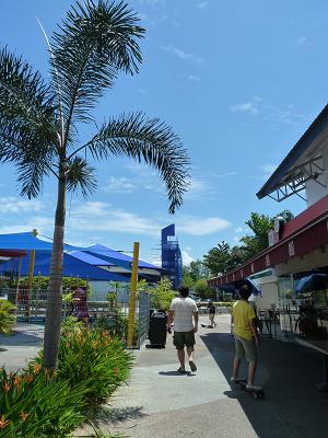 P1140238s-board1.JPG