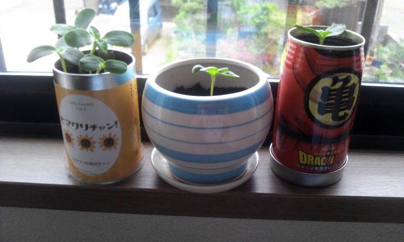2012-05-24 08:43:08