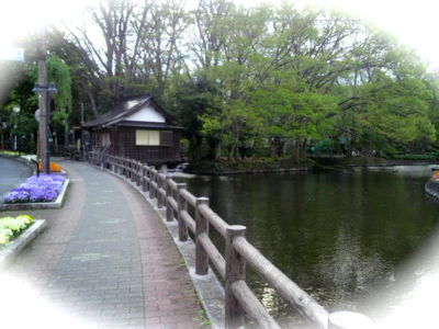 P1010755.jpg