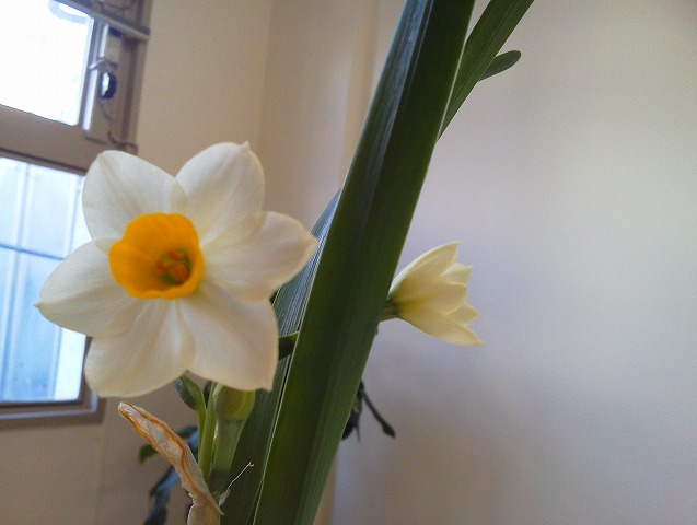 IMG_20130110_132249.jpg