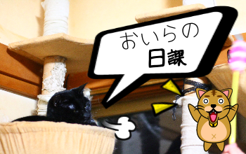 IMG_0708.png