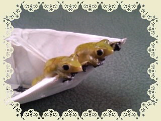 2匹カエル