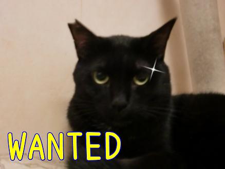 WANTED.JPG