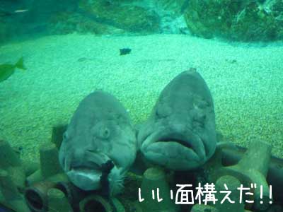 水２.JPG