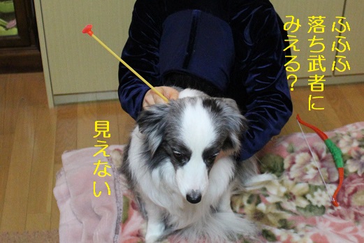 見えない