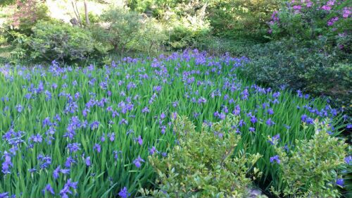 rblog-20160505205202-09.jpg