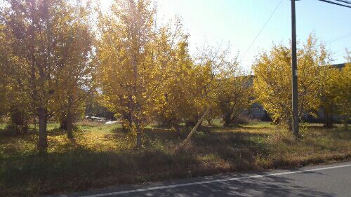 rblog-20161112170304-01.jpg