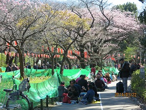 IMG_1940b.jpg