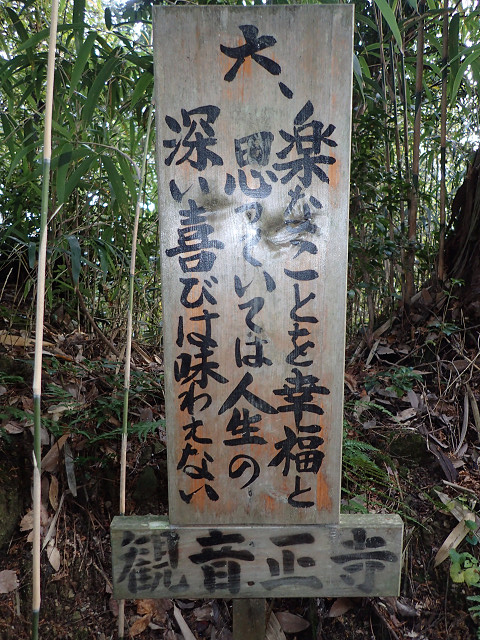resize0042.jpg