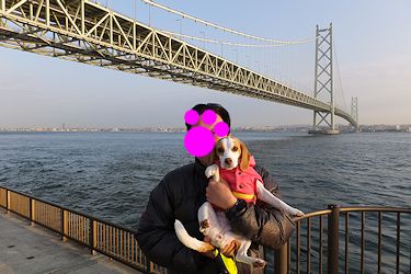 20170129明石海峡大橋