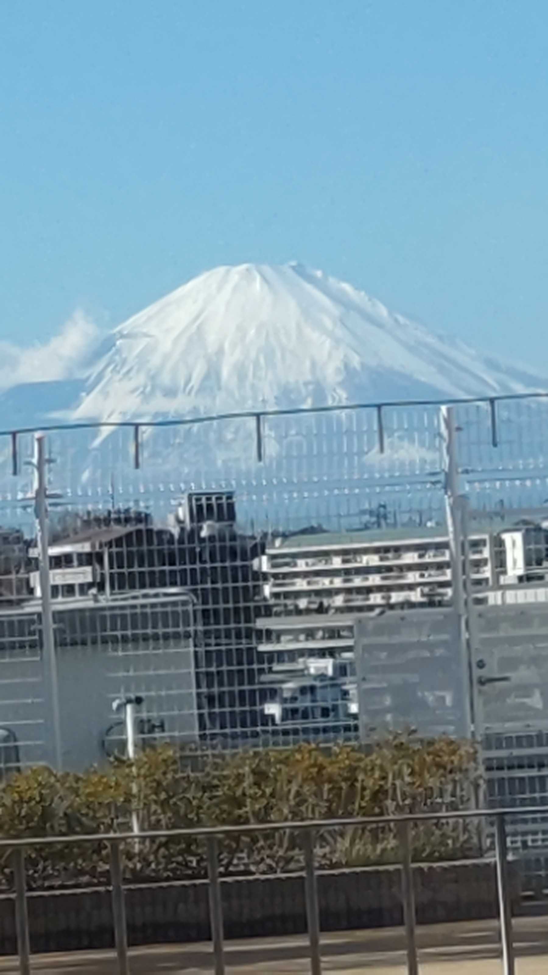 御意 トウタクの思い付き何でもあり日記 楽天ブログ